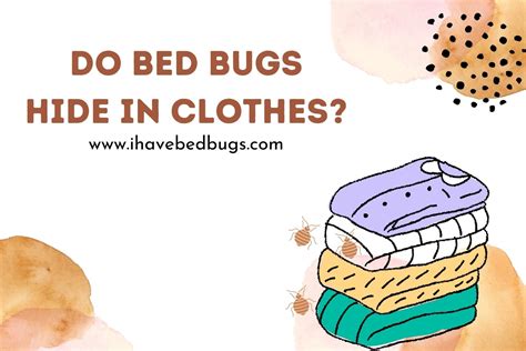 do bed bugs hide in books...or do they prefer dark and damp environments?